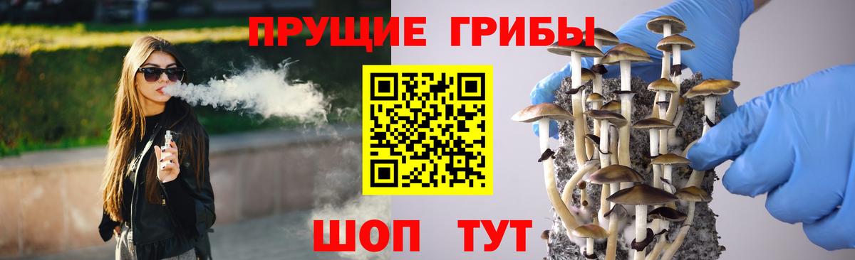 Галлюциногенные грибы Magic Shrooms  Вход с VPN  Курган 